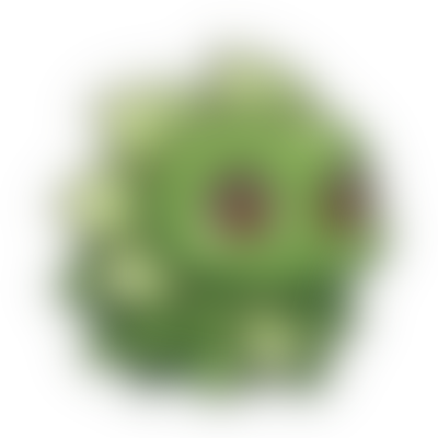 Mystery Plant Creature