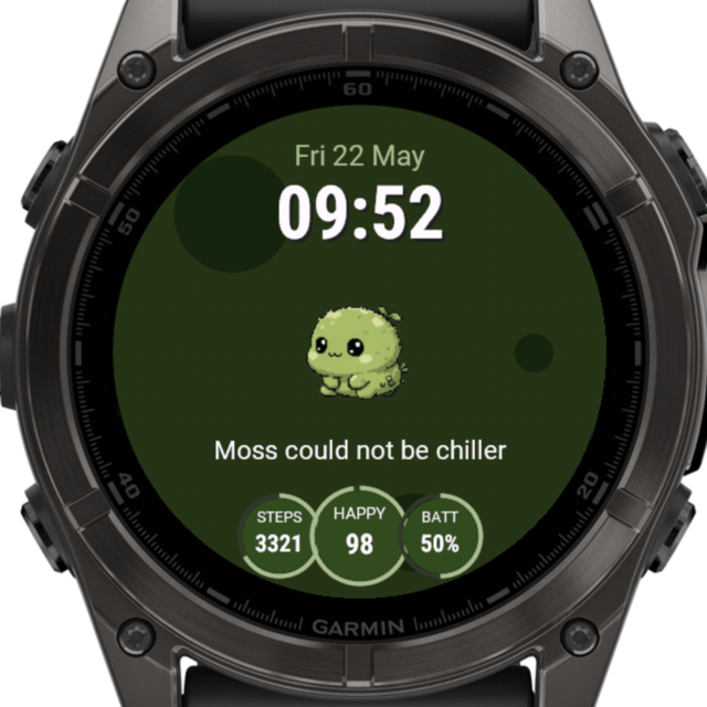 SkyLing Face watch face showing the pet, time and activity complications